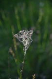 BKE_3582-bke-49