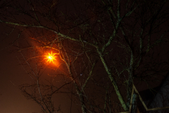 Orschwiler-Weihnachtsmarkt-2025-028