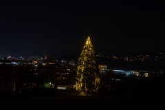 Weihnachtsbeleuchtung-2025-005