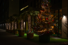 Weihnachtsbeleuchtung-2025-013