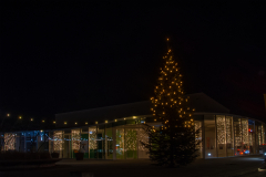 Weihnachtsbeleuchtung-2025-029