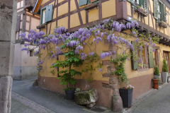 Eguisheim