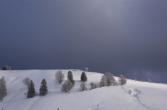am-Sittener-Berg-Muetal