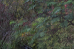 im-Herbststurm