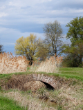 EH-Elzwiese