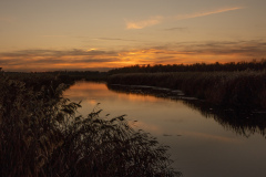 07Abendstimmung_Federsee