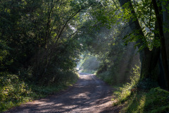 10-Weg-zur-Heide