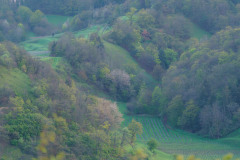 KAISERSTUHL-LANDSCHAFT