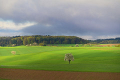 LANDSCHAFT-IM-TAUBERTAL