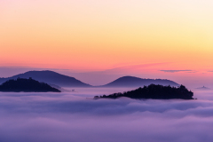 21-12-3-ES-PFAeLZERWALD-IM-MORGENNEBEL