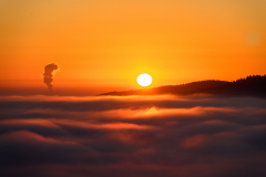 21-12-4-ES-PFAeLZERWALD-IM-MORGENNEBEL-UND-SONNENAUFGANG