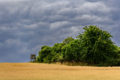 Landschaft-Feldberger-Seenplatte-4971