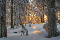 Nici-unberuehrte-Schneelandschaft-2