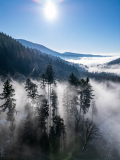 DJI_0300