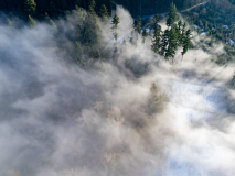 DJI_0301