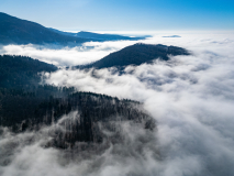 DJI_0302
