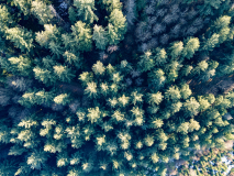 DJI_0306