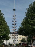 Maibaum-in-Traunstein