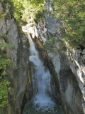 Tatzelwurm-Faelle-bei-Oberaudorf