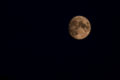 Mond-4681