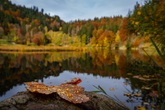 Herbststimmung-am-Nonnenmattweier