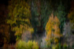 Herbststimmung_1