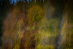 Herbststimmung_2