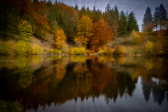 Herbststimmung_3