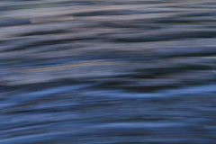 ICM_Baum