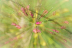 ICM_Pfaffenhuetchen