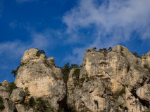 12-Schlucht-La-Jonte