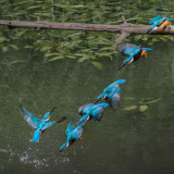 04-Flugstudien
