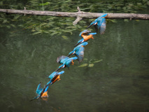 05-Flugstudien