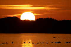 10Abendstimmung
