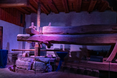 Weinmuseum