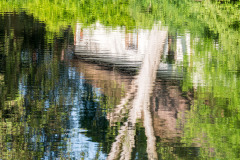 Ein-bisschen-Monet-am-Stadtsee-in-Staufen