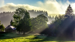 Morgentliche-Stimmung-im-Hochschwarzwald