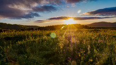 Sonnenaufgang-Schauinsland