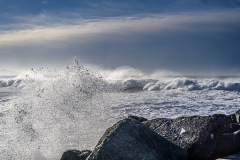 20012026-_DSC0397
