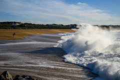 20012026-_DSC0416