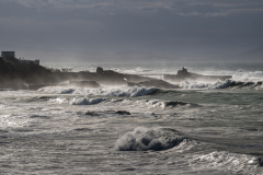 22012026-_DSC0101
