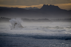 22012026-_DSC0198