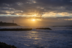 22012026-_DSC0206