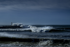 20012026-_DSC0347