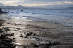 22012026-_DSC0175