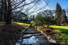 6.Kurpark-Badenweiler_09288_A-7R-III