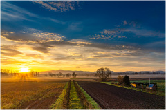 Sonnenaufgang_Ihringen-Wasenweiler_8012_A-7R-III