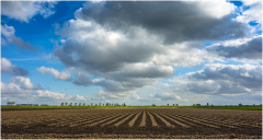 FFF_Themenabend "Kultivierte Landschaft"