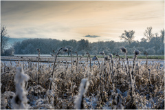 Winter_Impressionen_09211_A-7R-III