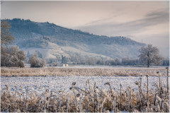 Winter_Impressionen_09212_A-7R-III